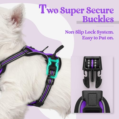 Dog Harness No Pull with 2 Leash Clips (X-Small / Purple)