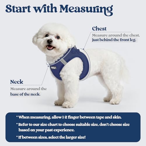 Dog Harness Medium Sized and Leash Set (Navy Blue / Xl (chest: 20 - 21.8"))
