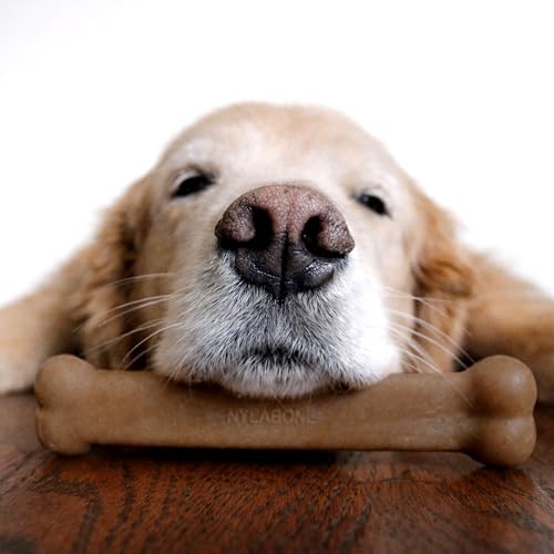 Strong Chew Original Bone Dog Toy Made with Real Chicken (Original Bone / Large)