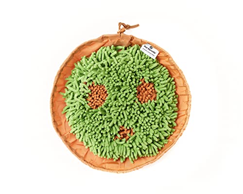 Forager Snuffle MAT and Slow Feeder Dog Bowl