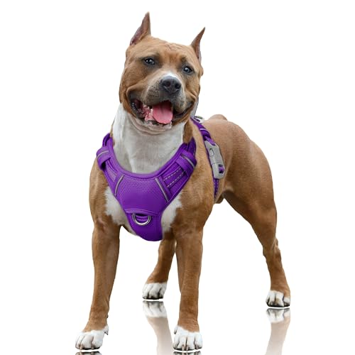 Dog Harness for Large Dogs No Pull Dog Vest ID Tag Pocket (Purple / Large)