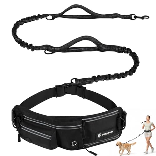Hands Free Dog Leash with Waist Pack Bungee for Running Black (Black)