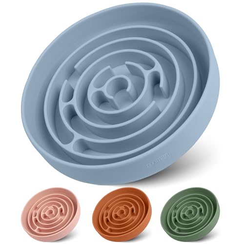 Slow Feeder Dog Bowl (Light Blue / L)