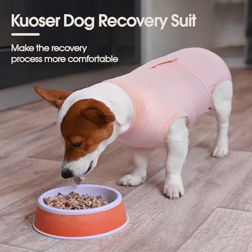 Dog Recovery Suit (Cooling Pink / X-Large)