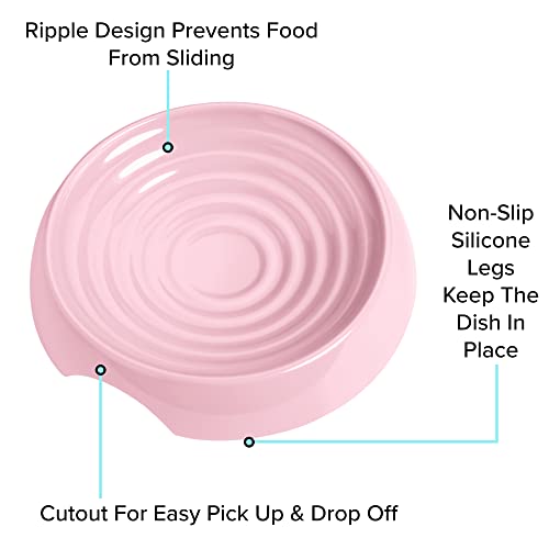 Cat Bowls Whisker Friendly Food Bowl for Indoor Cats (Dish - Set of Two / Pink)