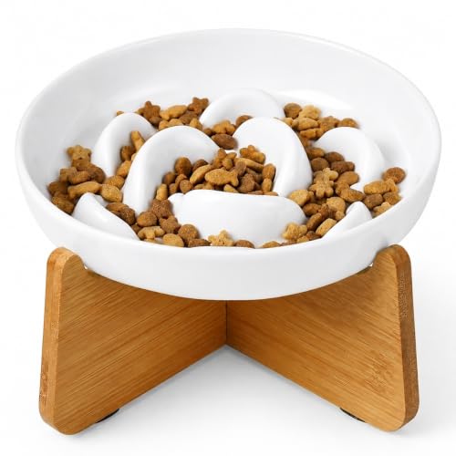 Elevated Slow Feeder Cat Bowl (White + Bamboo Base / 7"H)