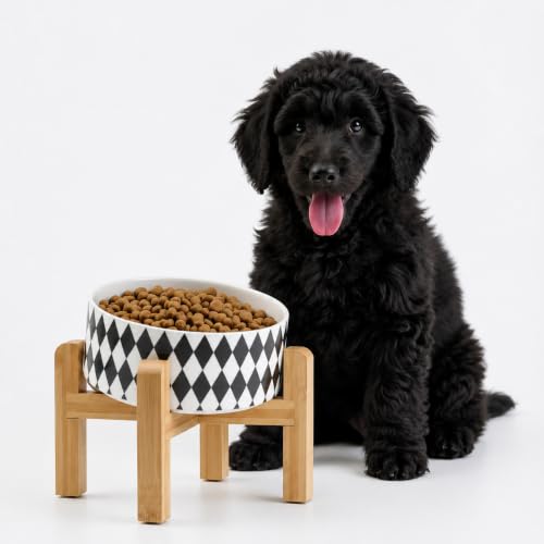 Elevated Raised 15°Slanted Ceramic Dog Bowl for Small and Medium Breeds (Black Rhombus / 3.6 CUPS - Medium Dog Bowls)