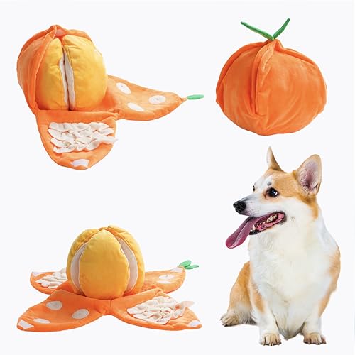 Hide and Seek Plush Dog Toys (orange)