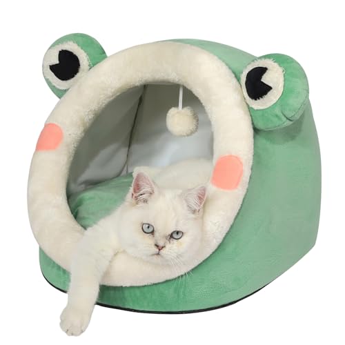 Cute Cat Bed Indoor Lovely Velvet Igloo for Cat and Small Dog (Medium / Green Frog)