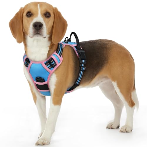 Dog Harness for Small Dogs (Small / Pink & Sky Blue)