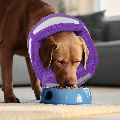 Dog Cone Alternative for Small Dogs to Stop Licking (Purple / Medium)