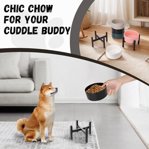 Raised Ceramic Dog Bowl Set with Stand (White / 1 Bowl - 3.5 Cups)