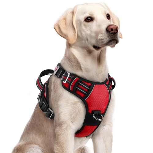 Dog Harness for Large (Red / Large)