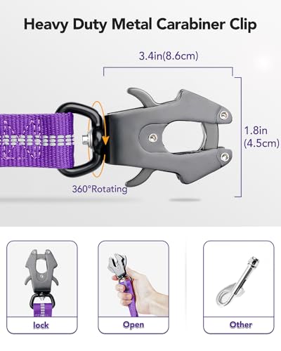 Tactical Bungee Dog Leash (Purple)