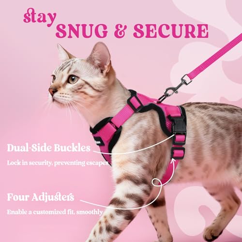 Cat Harness and Leash Set (Xxs / Rose Red)