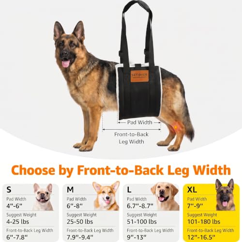 Adjustable Dog Lifting Harness (Black / Extra Large)