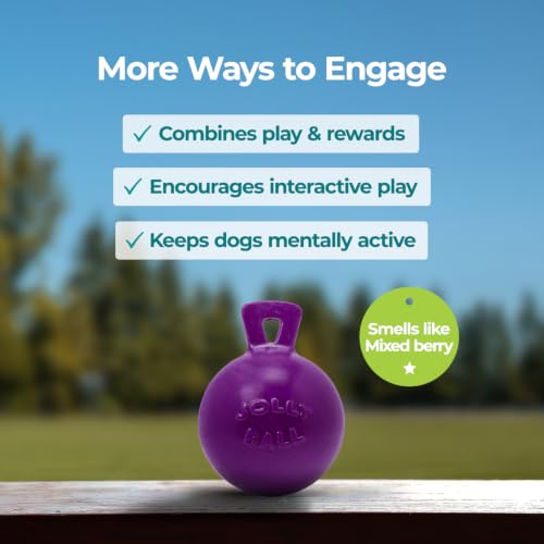 Tug-n-Toss Heavy Duty Dog Toy Ball with Handle, 6 Inches/Medium, Purple (Purple / Medium (6 in))