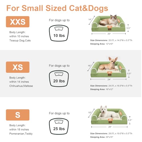 Orthopedic Dog Bed for Small Dogs (Grass Green / 24.0"L x 16.0"W x 5.5"Th)