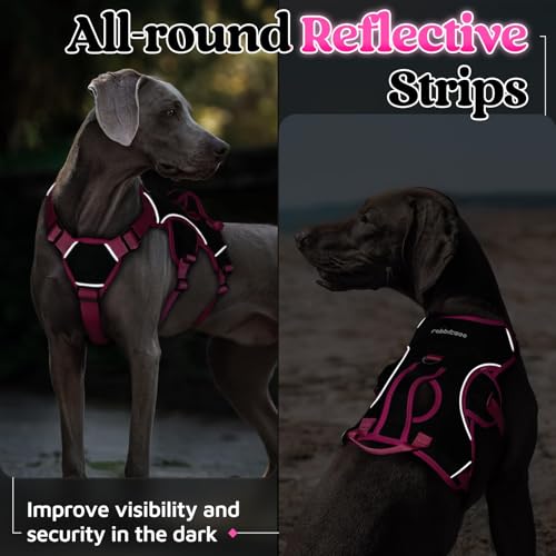 Escape Proof Dog Harness for Medium (Rose & Black / Medium)