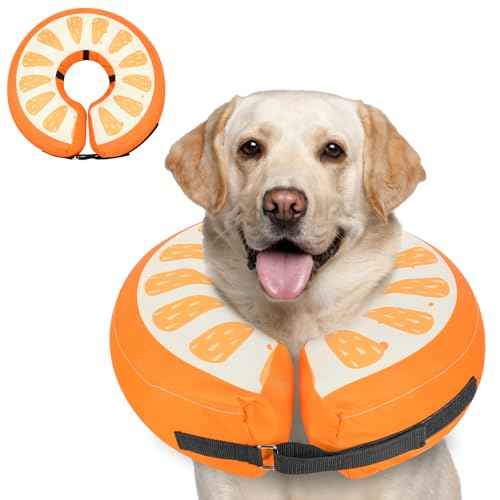 Inflatable Dog Cone (Orange / XL(21"-24"))