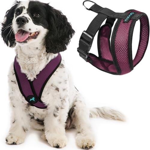 Comfort X Head (Large Chest (17-22.5") / Purple)