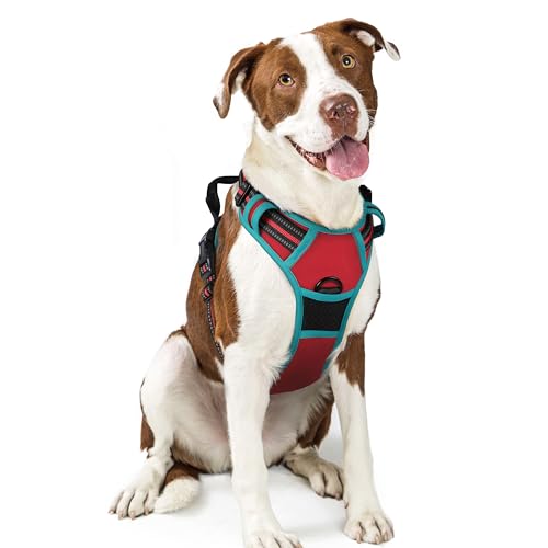 Dog Harness No Pull for Large Dogs with 2 Leash Clips (Large / Red & Teal)