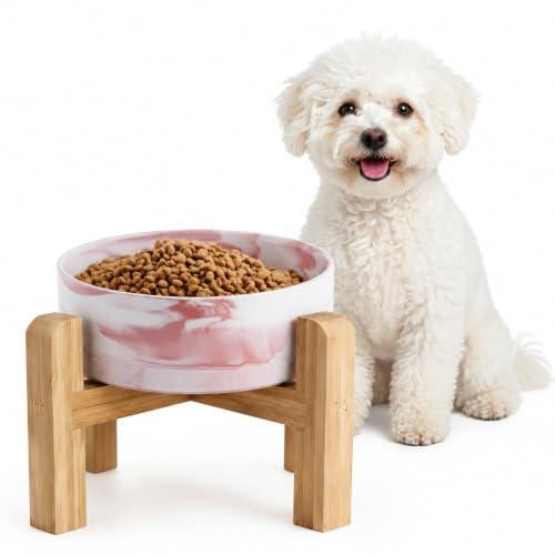 Elevated Raised Ceramic Dog Bowl with Bamboo Stand (Marble Pink / Medium)