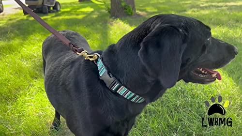Leather Dog Leash 8ft (8 ft x 3/4 inch / Brown)