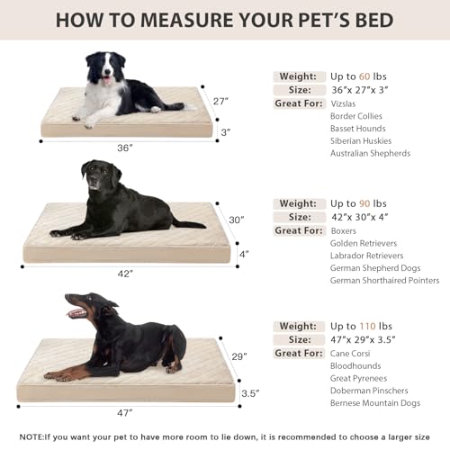 Orthopedic XXL Dog Beds for Large Senior Dog Bed Comfy Sleeping (Beige / 47"L x 29"W x 3.5"Th)