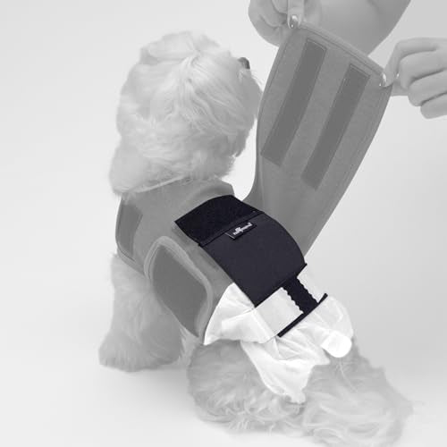 Stay Put Dog Diaper Holder (Diaper Holder)