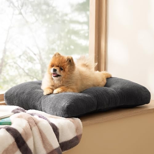 Washable Small Dog Bed (24"L x 17"W x 3"Th (S) / Dark Gray)