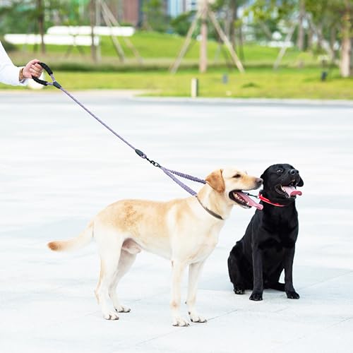 Double Dog Leash (Lavender / Large)