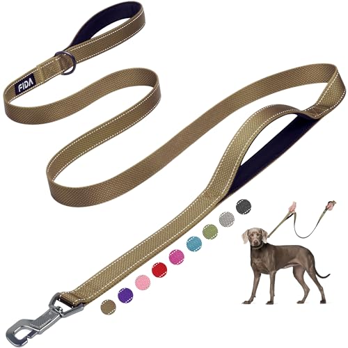 Heavy Duty Dog Leash for Medium Large Dogs (6 Feet (Pack of 1) / Brown)