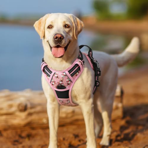 Dog Harness No Pull for Large Dogs with 2 Leash Clips (X-Large / Pink Rose)