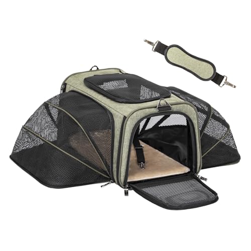 Small Double Expandable Cat Carrier for Kittens and Air Travel (16.0"L x 10.0"W x 9.0"H / Green)
