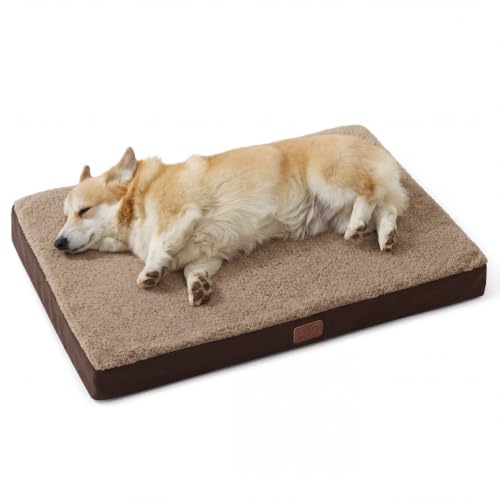 Washable Dog Crate Bed for Large Size with Comfy Sherpa (35"L x 22"W x 3"Th / Brown)