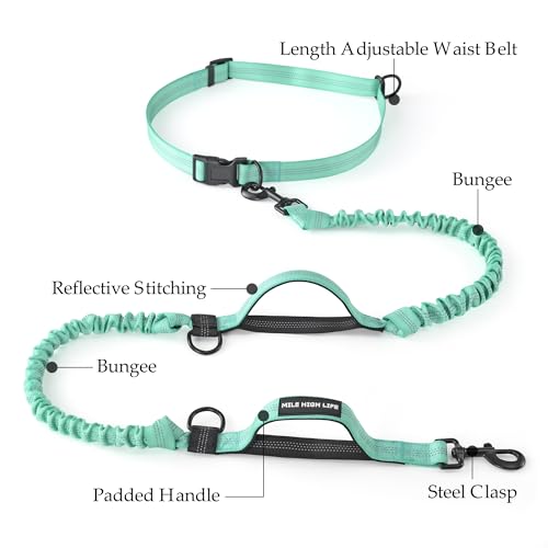 Hands Free Leash (Soild Teal / 7FT Hands Free)