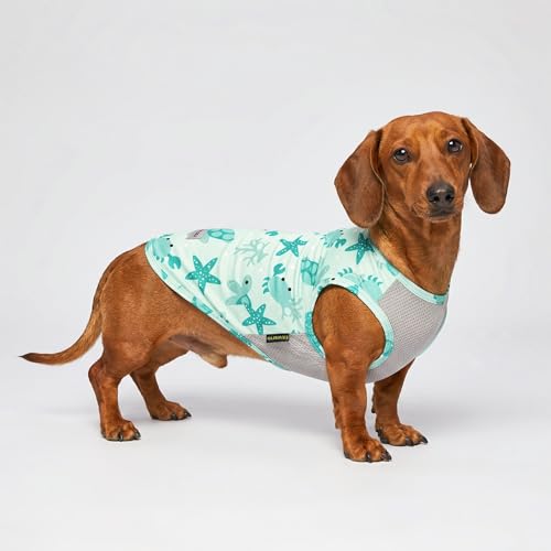 2 Pack Marine UPF 50+ UV Sun Protection Dog Shirt (X-Small / Marine)