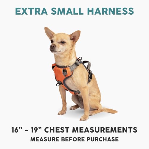 Embark No Pull Dog Harness (XS / Orange)