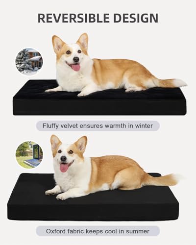 Orthopedic Dog Bed for Small Dogs with Waterproof Lining (Black / 23.0"L x 17.0"W x 3.0"Th)