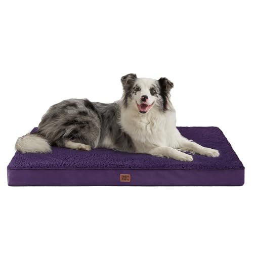 Orthopedic Dog Bed Extra Large with Removable Washable Cover (41*27*3.5 inches / Purple)