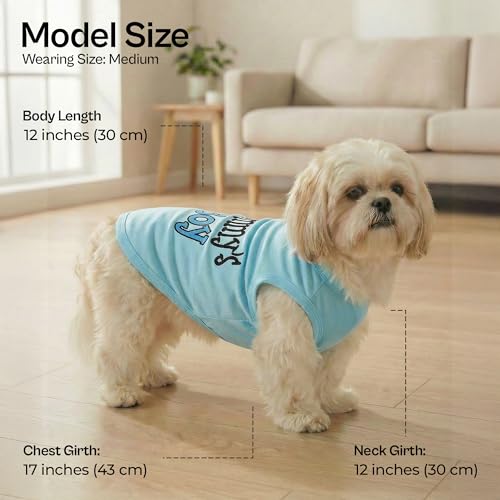 Dog Shirt Mommy’s Boy Pet Shirt (Medium (8-12lbs))