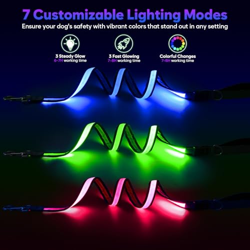 4 Ft Multi Color Light up Dog Leash (4 FT (Gray))