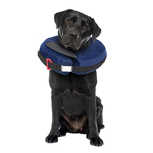 Calm Paws Protective Inflatable Collar Large w (Large)
