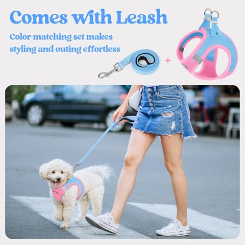 Dog Harness Small Sized and Leash Set (Blue & Light Pink / Xs (chest: 13.3 - 15.5"))