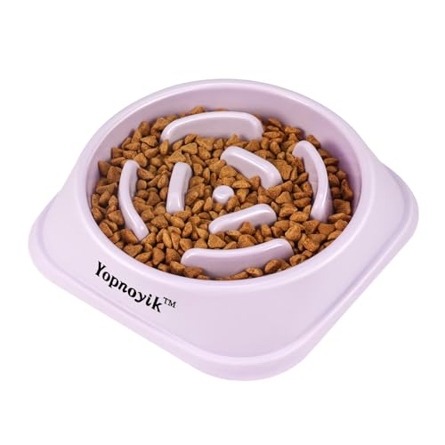 Slow Feeder Dog Bowls for Medium Dogs & Cats (Medium / Purple)