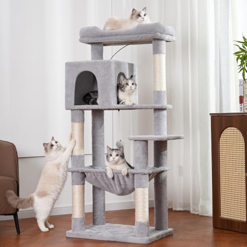53”Cat Tree with Hammock & Extra Large Bed 23x12” for Large Cats (XLarge-53" / Gray)