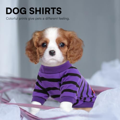 Dog Shirts for Medium Dogs (Violet / Medium)