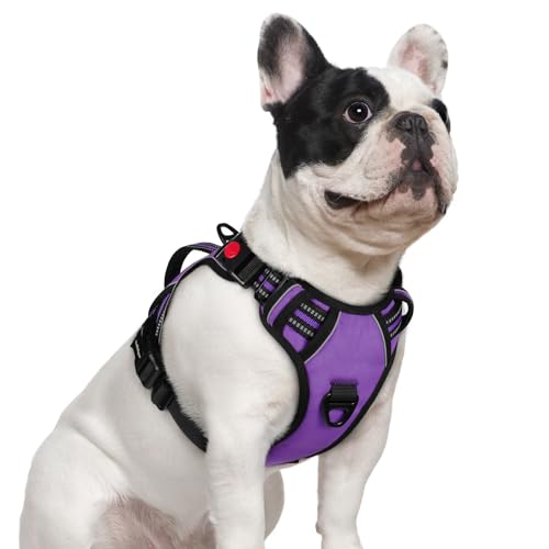 Large Dog Harness (Small / Purple)