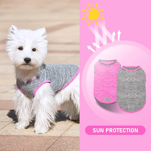 2Pack Dog Shirt for Small Dogs Sun Protection Tank Top for Summer (Medium (7-13lbs) / 6# 2Pack (Grey+Hotpink))